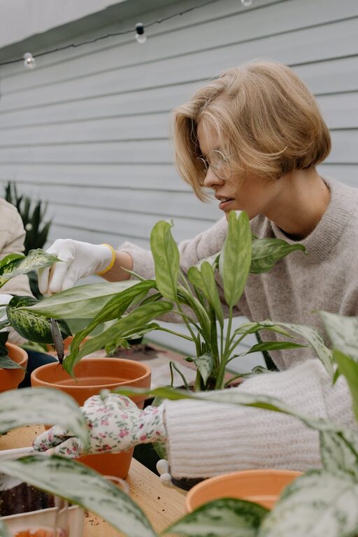 Essential Tips for Keeping Your Houseplants Healthy and Thriving